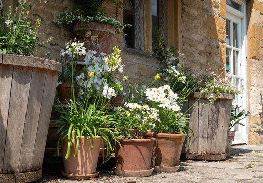 Terracotta flower pots with white flowers and foliage, photographed in Stow on the Wold in Gloucestershire, characterful town in The Cotswolds, England UK.
