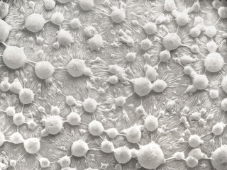 Bubbles from bifidobacteria on the surface of a liquid subjected