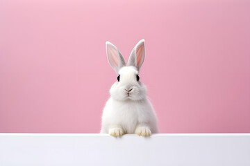 white rabbit on pink background. Generative AI	
