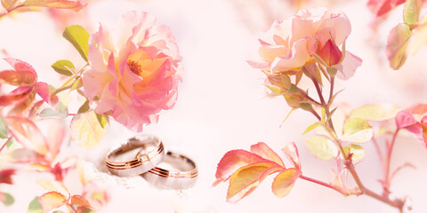 Bright pink rose blossoms with wedding rings. Tender concept background for wedding banner and invitations cards.