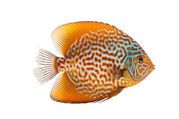 Tranquil Tropics fish. Transparent background. generative AI