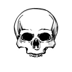 Hand drawn skull (black pencil, transparent)
