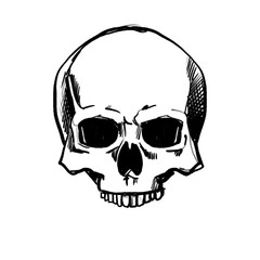 Hand drawn skull (black pencil, transparent)