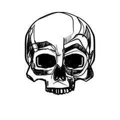 Hand drawn skull (black pencil, transparent)