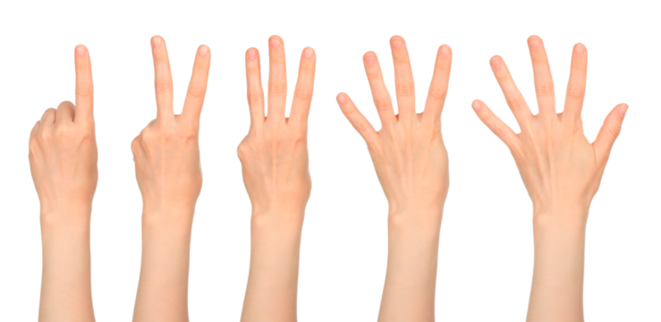 Women hands show the number one two three four five, isolated on transparent background