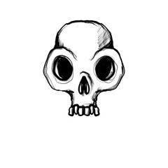 Hand drawn skull (black pencil, transparent)