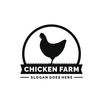 Chicken farm logo design vector. Livestock logo vector