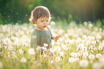 Beautiful happy little baby boy standing on a green meadow with fluffy flowers of dandelions on the...