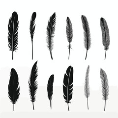black feather set LU set vector flat isolated illustration