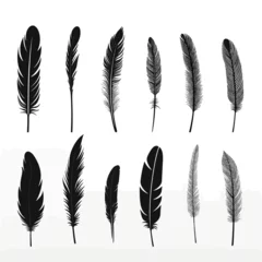 Papier peint Plumes black feather set LU set vector flat isolated illustration