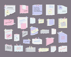 Paper sticky notes, memo messages, notepads and torn paper sheets. Blank notepaper of meeting reminder, to do list and office notice or information board with appointment notes. Vector eps 10