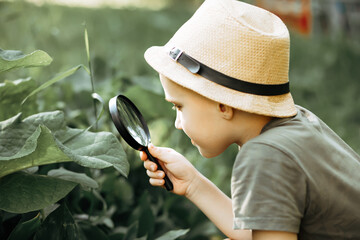 Caucasian Boy kid exploring nature environment with a magnifying glass loupe