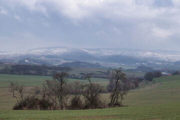 Obraz premium Trees in a green field with sun shining on a snow covered hill in the background on a cloudy winter day in Rhineland Palatinate, germany.