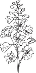 small minimalist larkspur tattoo, pencil delphinium drawing, outline larkspur flower drawing, larkspur line drawing, flower tattoo designs, flower coloring pages, preschool flowers coloring pages