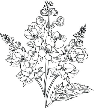 delphinium tattoo black and white, pencil delphinium drawing, July Birth Flower Larkspur Drawing, minimalist July birth flower larkspur tattoo, pretty flower coloring page, Midnight Blue Silk larkspur