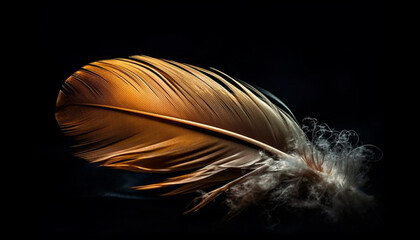 Feather elegance in nature fragile beauty generated by AI