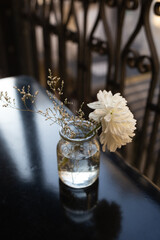 beautiful fresh white flower in a transparent small vase on a black table in a restaurant. minimalist composition