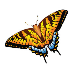 Vector Cartoon Tiger Butterfly Character isolated illustration