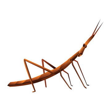 Vector Cartoon stick insect Character isolated illustration