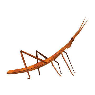 Vector Cartoon stick insect Character isolated illustration