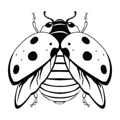 Vector Cartoon LadyBug beetle Character isolated illustration