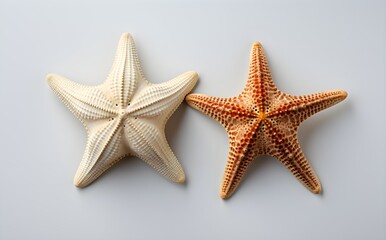 Fototapeta na wymiar Pair of varying starfish, top-down perspective, isolated on white, flat composition, oceanic design accent, Generative AI, Generative, KI 