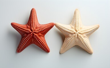Fototapeta na wymiar Two starfish kinds, isolated on white, top angle view, slight shadows, nautical design element, flat display, Generative AI, Generative, KI 