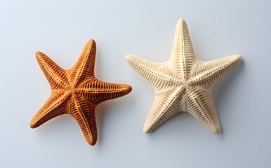Fototapeta na wymiar Marine life showcase: Two starfish varieties, top-down view, isolated on white, slight shadows, flat layout, Generative AI, Generative, KI 