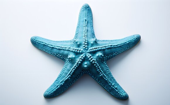 Detailed Blue Starfish, Closeup, White Isolated Background, Natural Marine Texture, Suitable for Commercial Projects, eCommerce, Generative AI, Generative, KI
