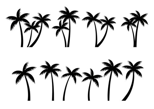 Palm Tree Silhouette Vector Art Icons and Graphics white backgroud