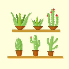 Home plants, cactus in pots and with flowers. Set of flower pots for design. The apartment is in a cartoon style. Green plant, nature, floral and exotic, wild botany tropical.