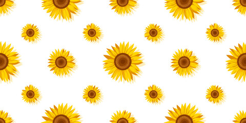 Sunflower seamless pattern on a white background. Decorative cute floral vector illustration. Print fabric design - 617477516