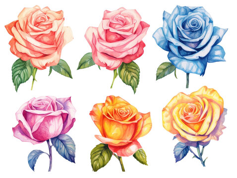 Collection of vintage roses with branch. Colorful watercolor flowers with green leaves illustration set. Generative AI