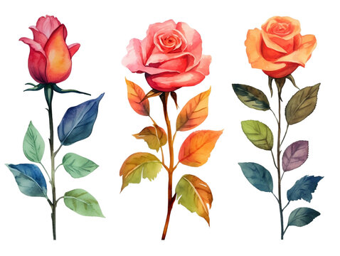Collection of vintage roses with branch. Colorful watercolor pink flowers with leaves illustration set. Generative AI