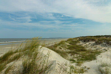 sand dunes and beach in Jekyll Island in Georgia © alexbuess