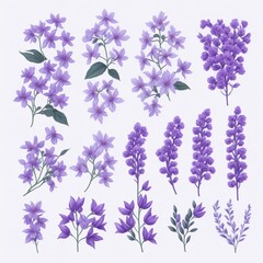 set / collection of small purple lilac flowers isolated over a transparent background, floral spring design elements with subtle shadows, top view / flat lay 
