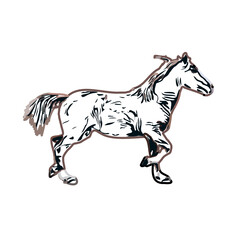 Color sketch of a running horse with transparent background