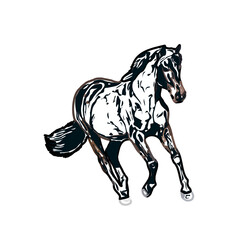 Color sketch of a running horse with transparent background