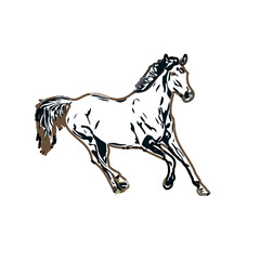 Color sketch of a running horse with transparent background