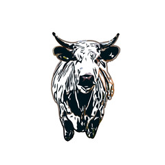 Color sketch of a cow with transparent background