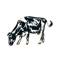 Color sketch of a cow with transparent background