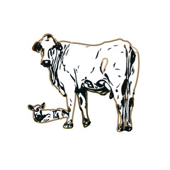 Color sketch of a cow with transparent background
