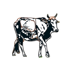 Color sketch of a cow with transparent background