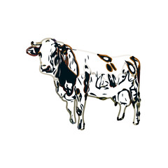 Color sketch of a cow with transparent background