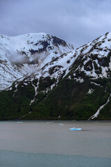 Cruise to Hubbard Glacier Bay in Alaska with floating ice bergs and drift ice floes on ocean water surface surrounded by snow cap mountains and wildlife wild nature scenery Last Frontier adventure