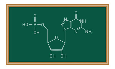 Fototapeta premium Chemical structure of DNA nucleotide. Three parts of a nucleotide. Phosphate group, pentose sugar and nitrogenous base. Nucleic acids. Chemistry resources for teachers and students.
