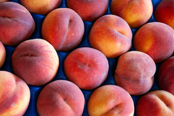 Pesche
