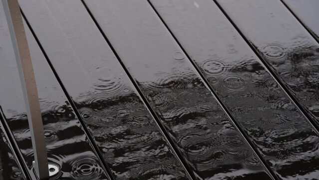 tracks in the rain