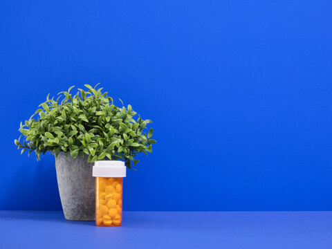 Disease tablets and a green flower in a concrete gray pot. Copy space for text.