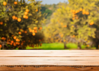 Naklejka na ściany i meble Empty wood table with free space over orange trees, orange field background. For product display montage. Ai Generative